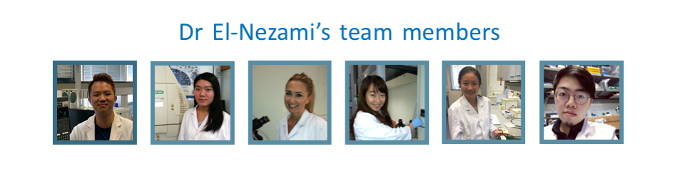 Team Members