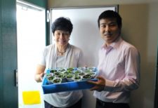 Protection of Flowers from Freezing Stress – Professor ML Chye